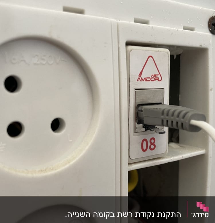 שקע רשת עם כבל מחובר, מספר 08
